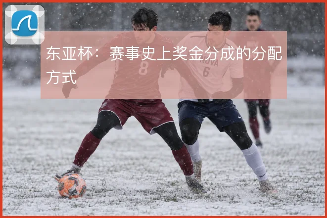 东亚杯:赛事史上奖金分成的分配方式